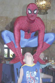 spider 